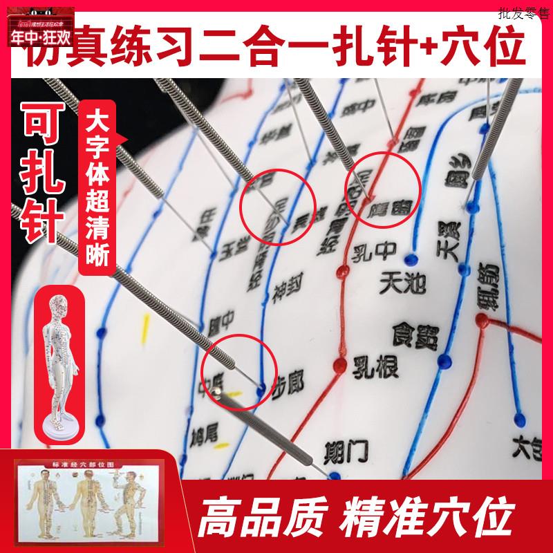 针灸穴位s人体模型男50cm女48CM针灸模型血位针灸模型中医模型