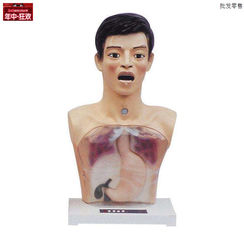 带警示透明洗胃机W制模型洗胃管操作练习模具