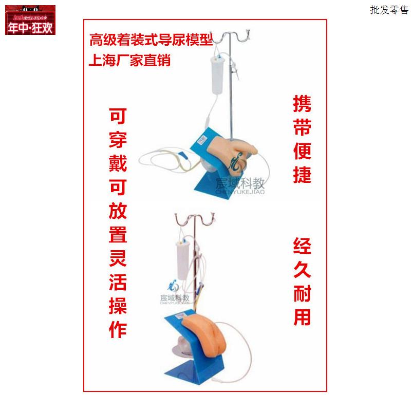 实习护理模w型导尿模型生殖器教具高级着装式男女性导尿模型