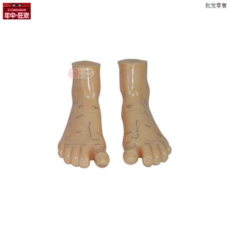 按摩足17CM脚部按摩穴位模型脚底c按摩穴位模型