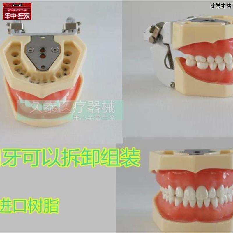 包邮标准牙颌模型口腔科备全口牙齿可替换日L进牙颌配FE咬合架