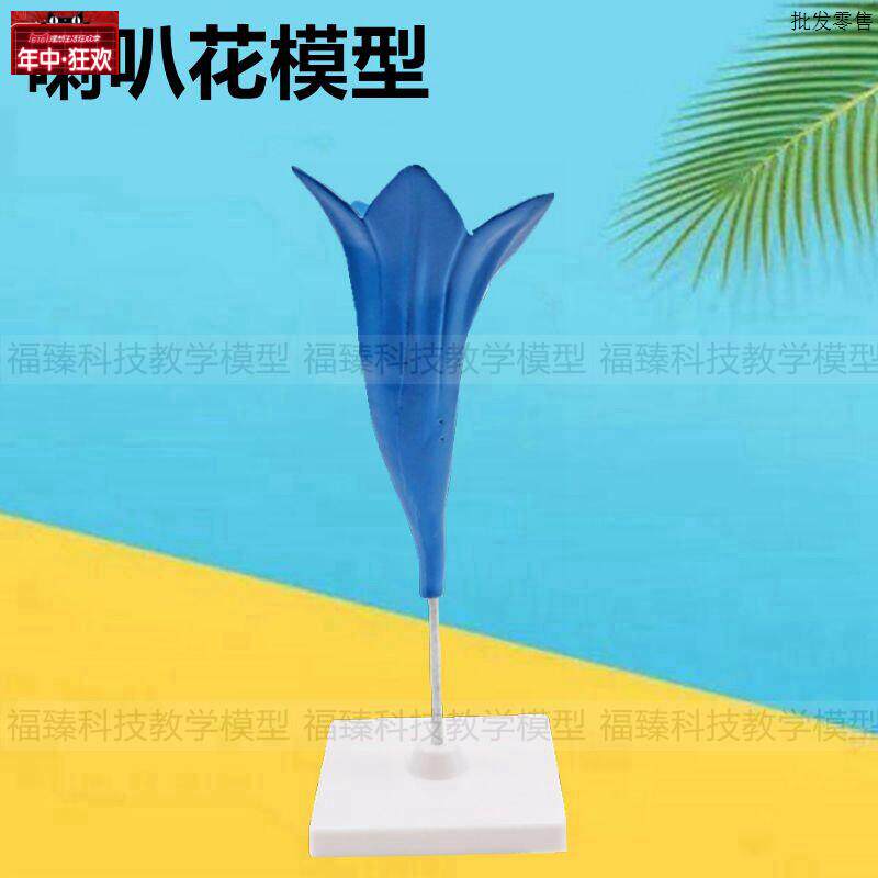 喇叭花模型仿真塑胶花朵桃p花可拆卸双子叶植物土豆豌豆油菜小麦