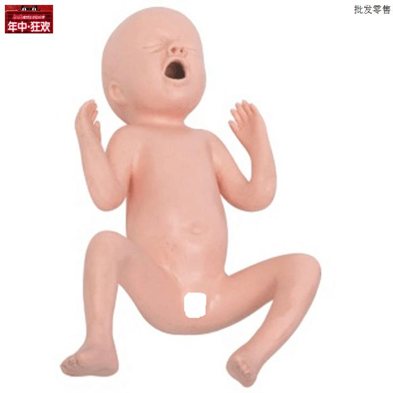 高级24z周早产儿模型出生儿模型早产儿护理模型