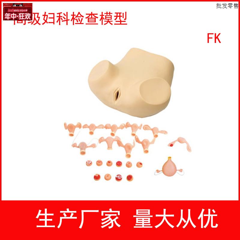 妇科训练模型g,妇科检查模型,妇婴训练模型护理模型妇产科培训用