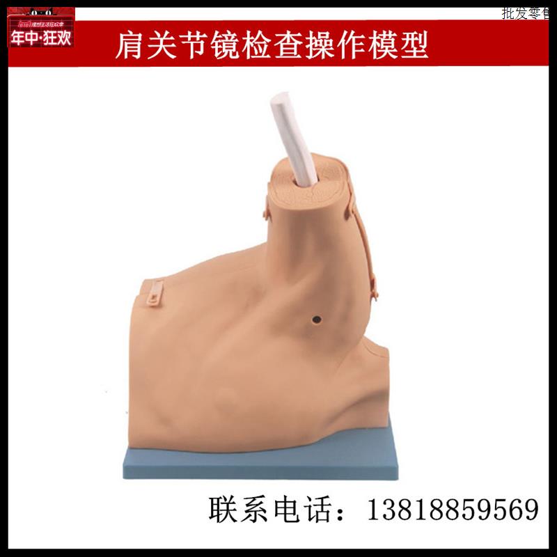 肩关节镜检查操作模型