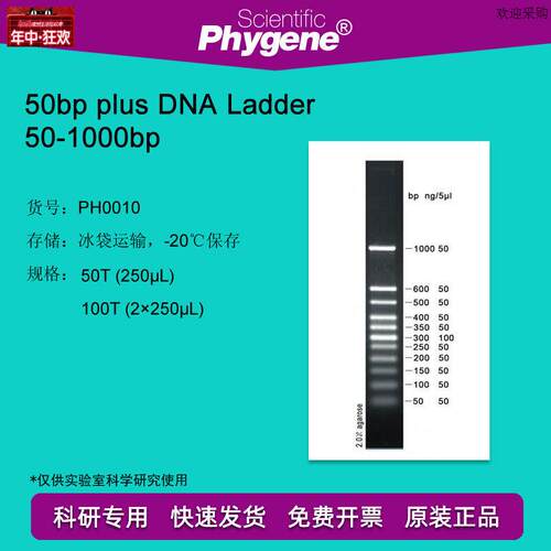 50bpDNAMarkerR50-1000DNALadder100T[PH0010PHYGENE]