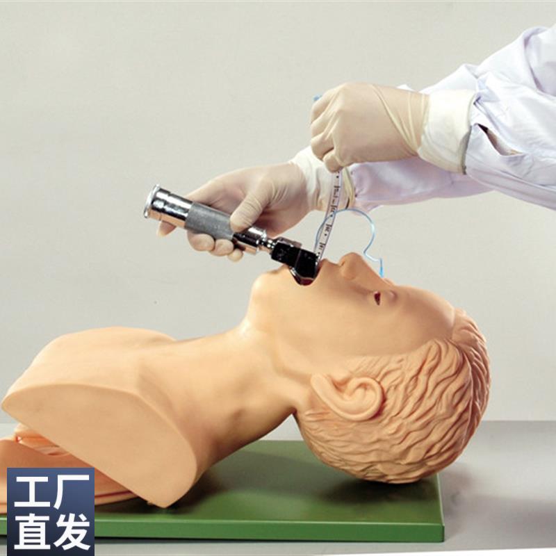 ENOVO颐诺电子气管插管训练模型(带报警)急救气管插管训练模型I