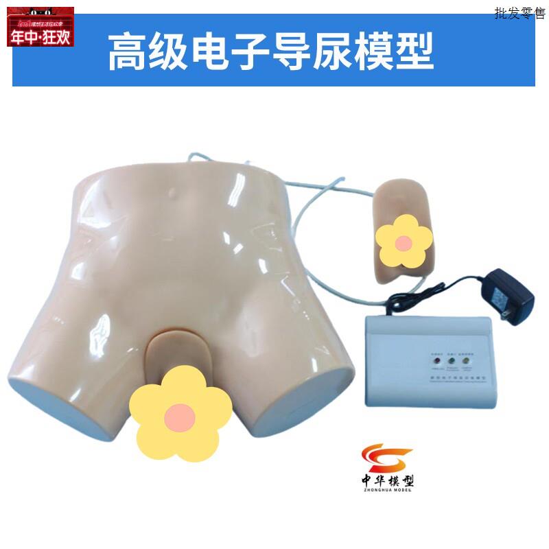 电子导尿及灌肠教学实习模型男/女导尿训练模Y型两性互换导尿