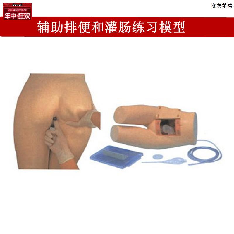 辅助排便和灌肠练习模型.医院培训护士训练模型肛门检查模型
