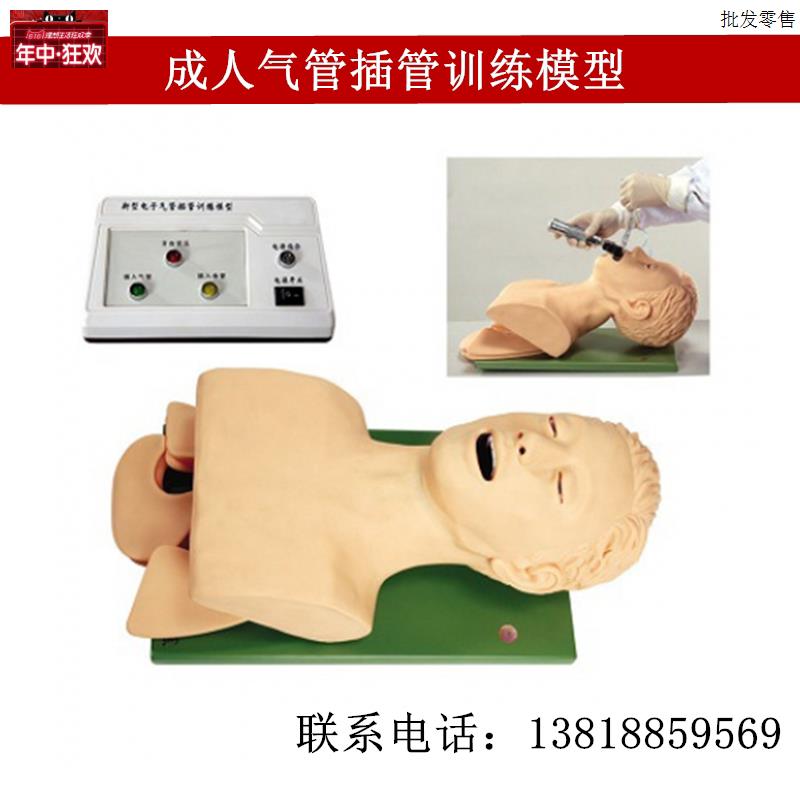 直销成人气i管插管训练模型医学用插管技能教学模特电子人体上半