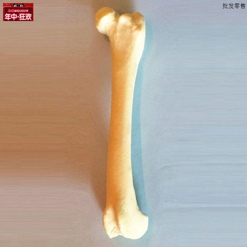 狗彷真骨四肢前后腿动物兽医手术Y练习假骨头肱骨尺桡骨股骨胫腓