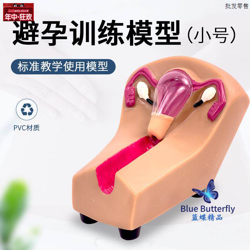 女性宫内避孕器及训练模型妇幼模型计生教学模c型医学教具