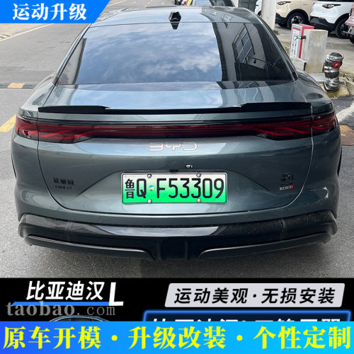 适用22-25款比亚迪汉LDMi尾翼EV