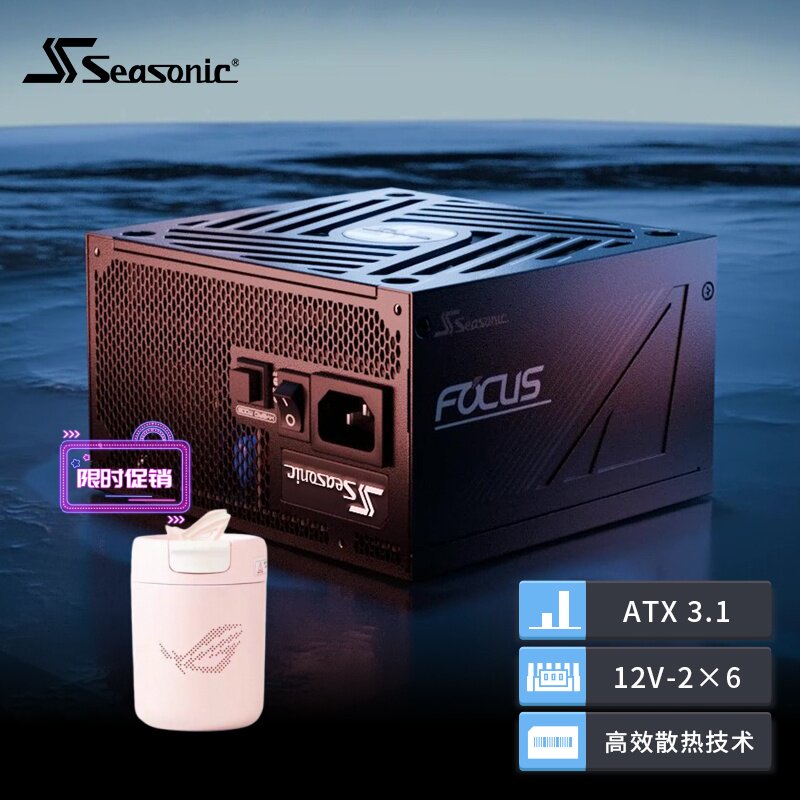 FOCUSGX1000v4ATX3.1金牌全模图片