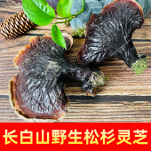 野生灵芝正品 灵芝整枝 长白山野生灵芝干货赤灵芝非西藏松衫