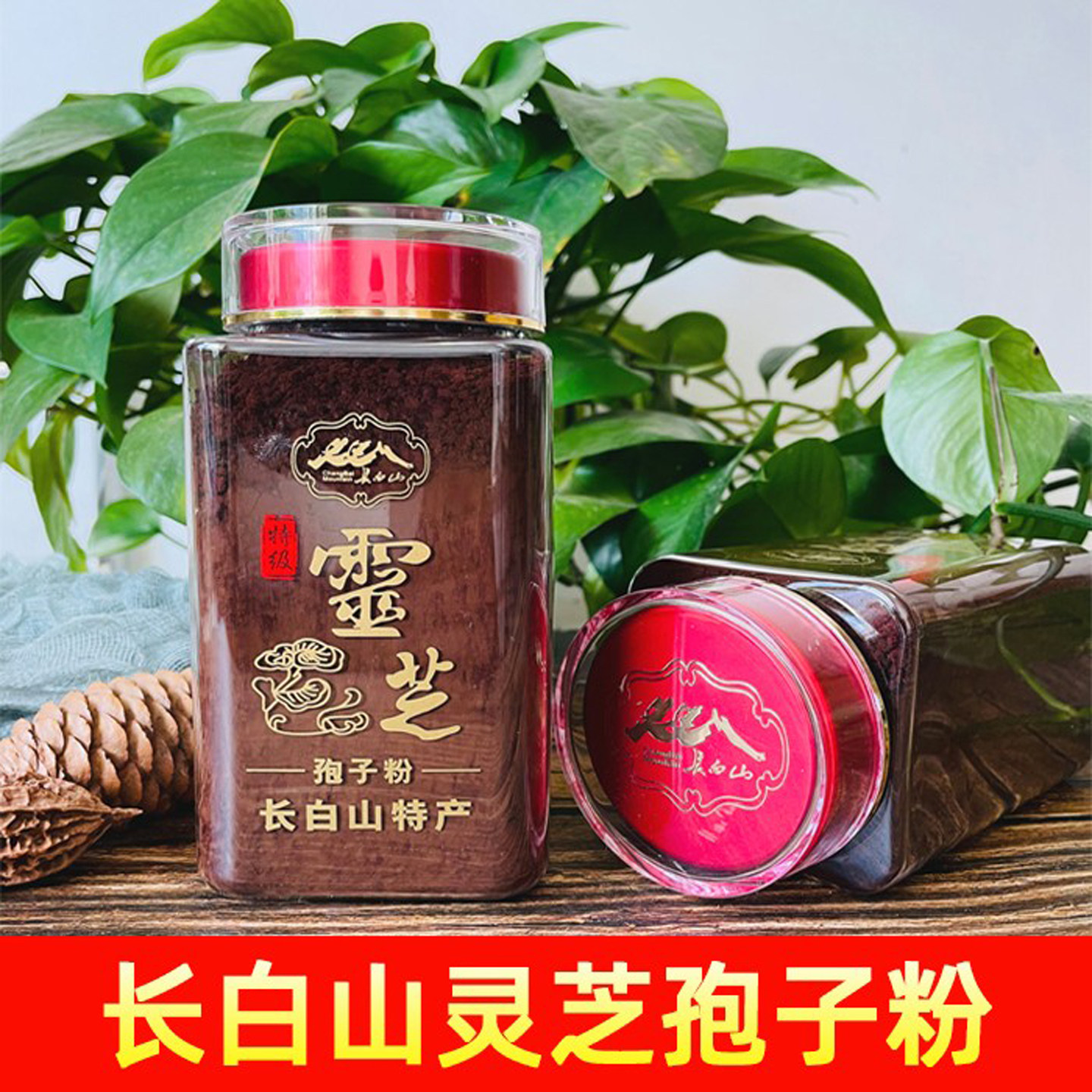 孢子粉长白山孢子粉灵芝粉正宗免疫力有机孢子粉500g