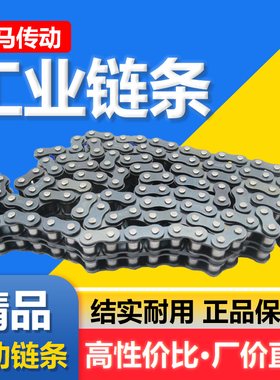 工业传动经济链条 3分06B4分08B5分10A6分12A1寸16A单排双排