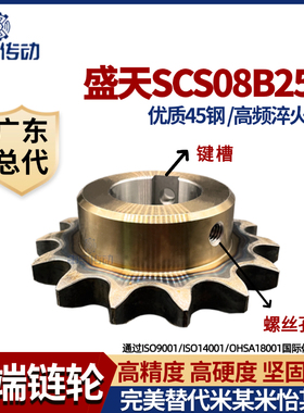 盛天SCS链轮45钢淬火加工成品 4分08B25齿 高精度耐磨损 申马传动