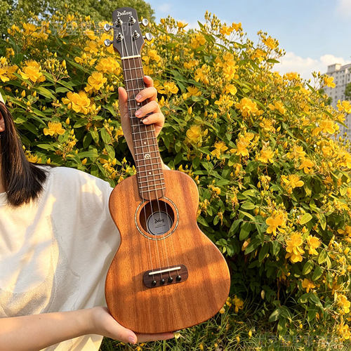 Daisy全单23寸尤克里里