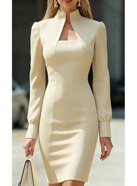 Solid color high neck long sleeved dress纯色高领长袖连衣裙女