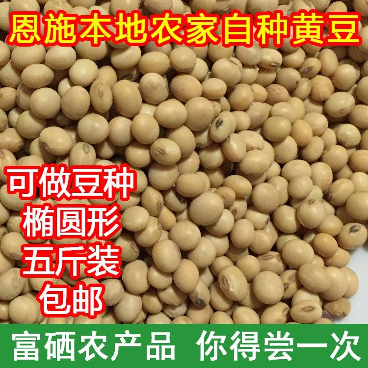 恩施硒都农家自种黄豆5斤专用磨豆浆黄豆生豆芽豆浆品种老黄豆粉,粮油调味/速食/干货/烘焙,黄豆,淘宝优惠券,粉丝福利购,淘宝优惠卷