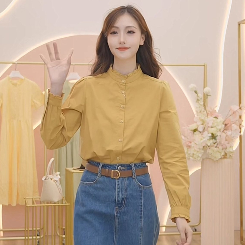 复古立领长袖女士衬衫女