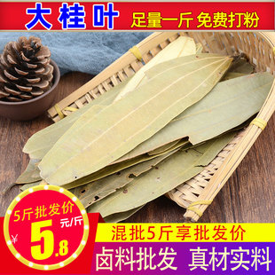 大桂叶250克   肉桂叶大月桂树叶香桂叶香料调料大全卤肉料