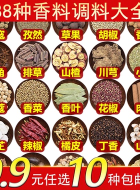 大料香料调料大全卤料包组合套装干货炖肉卤菜商用餐饮饭店调味料