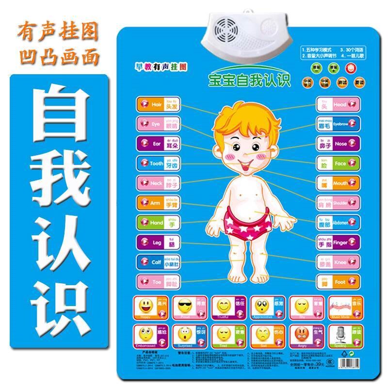 拼音挂图一年级有声全套汉语拼音玩具挂图/认知卡