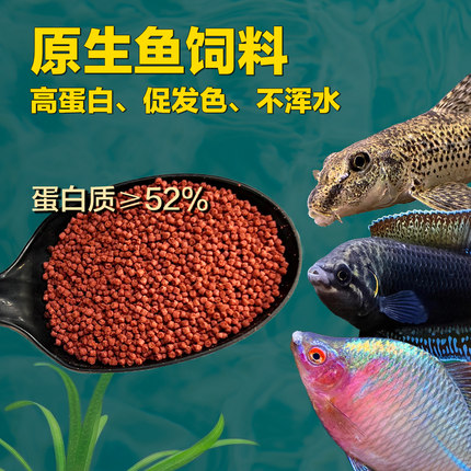 高蛋白原生鱼饲料斗鱼虾虎棒花小型鱼增色增艳下沉颗粒型鱼粮鱼食