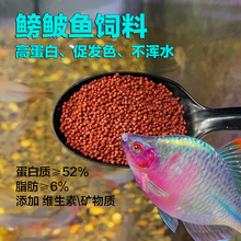 鳑鲏鱼斗鱼鹦鹉鱼小型原生鱼热带鱼颗粒饲料高蛋白促发色促消化