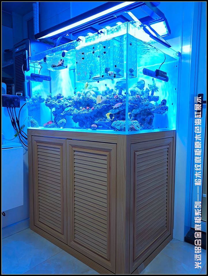 光远 金晶超白玻璃缸 海缸 海水套缸 海水珊瑚缸原木色铝合金底柜