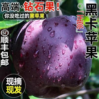 正宗黑卡黑钻苹果新鲜脆甜