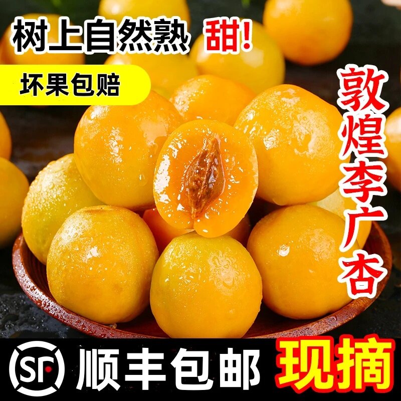 顺丰正宗李广杏敦煌新鲜杏子5斤当季时令孕妇特产黄杏子水果整箱Z