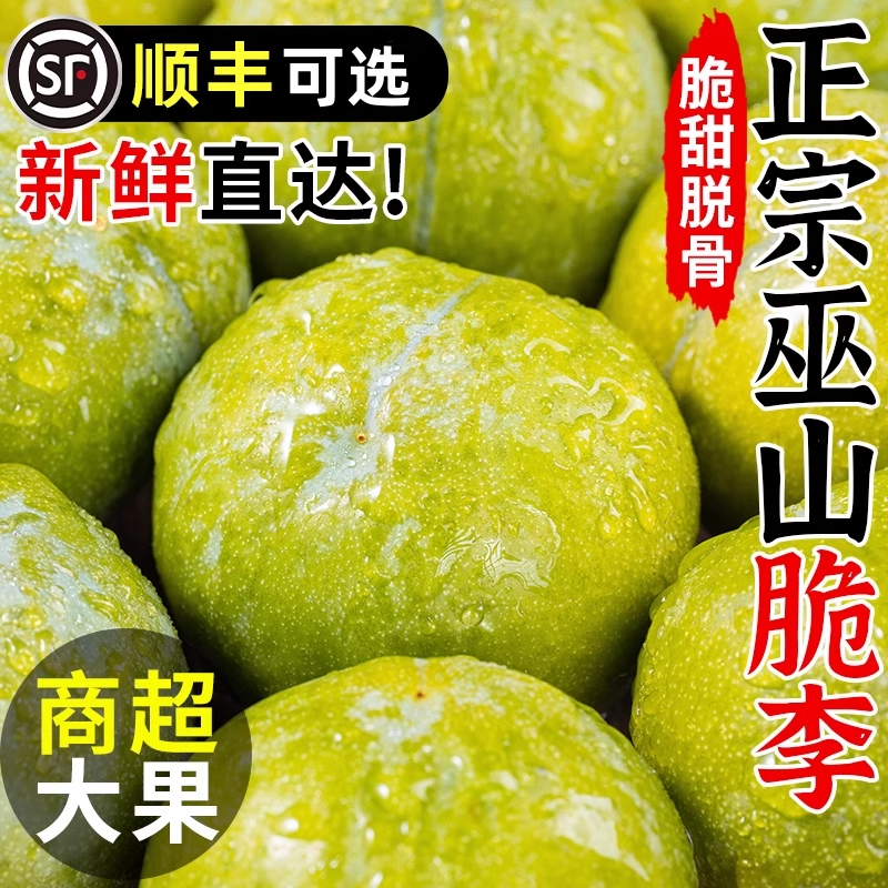 正宗重庆巫山脆李脱骨李子四川5斤新鲜孕妇水果当季脆甜青脆李子Z