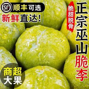 正宗重庆巫山脆李脱骨李子四川5斤新鲜孕妇水果当季脆甜青脆李子Z