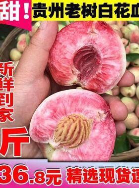 顺丰新鲜贵州血桃百花桃白花桃雪桃结桃脱核桃脆甜桃应季水果ZZ
