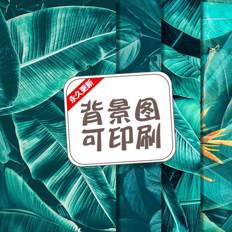 质感树叶底纹植物背景高清jpg图片装饰画平面海报广告ps设计素材