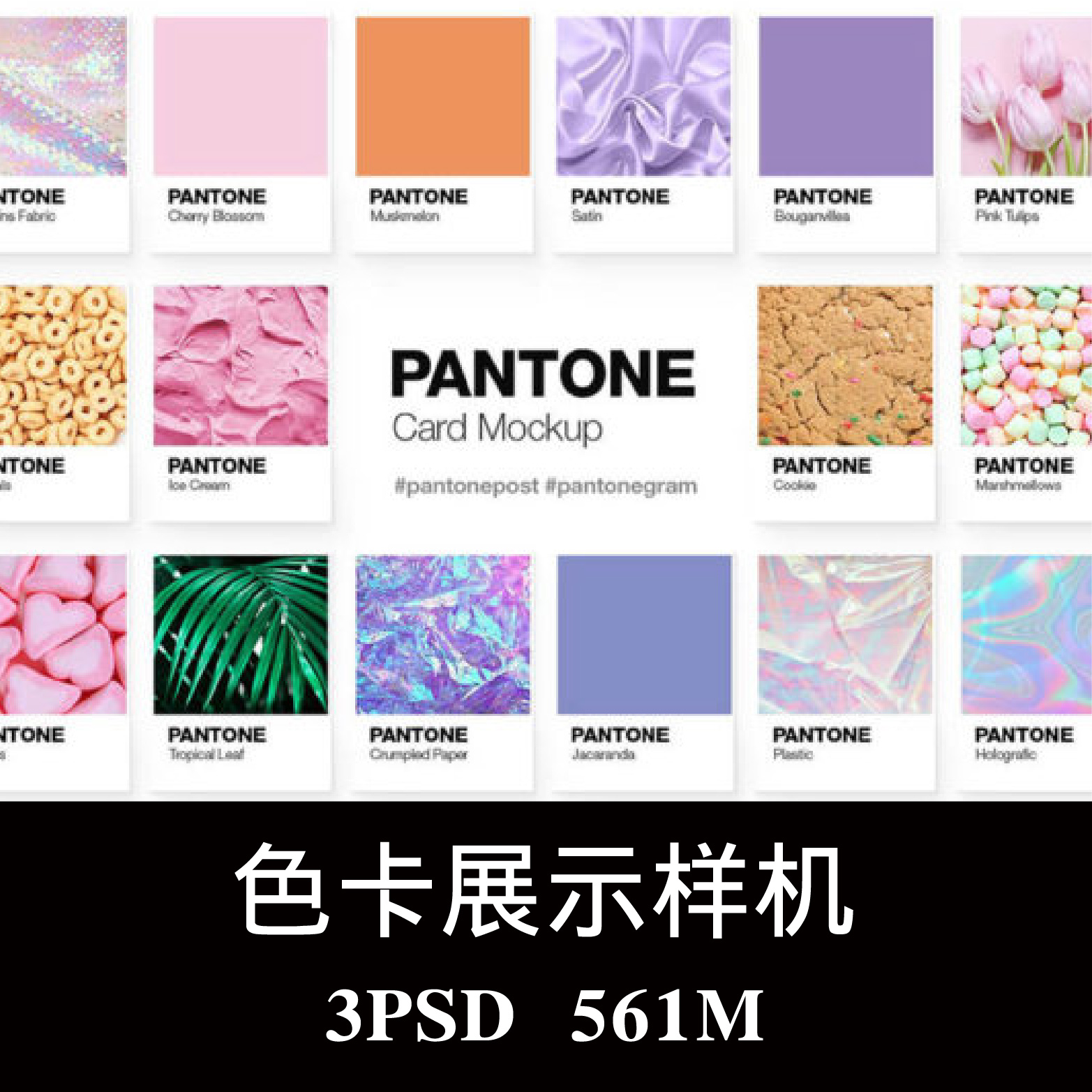 潘通Pantone色卡样机PSD贴图效果图智能图层提案模板素材