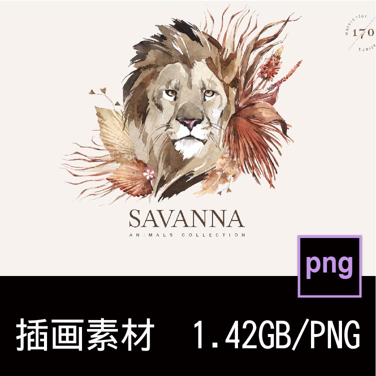 复古手绘非洲动物鸟类花卉植物物品水彩插画插图PNG免扣图片素材