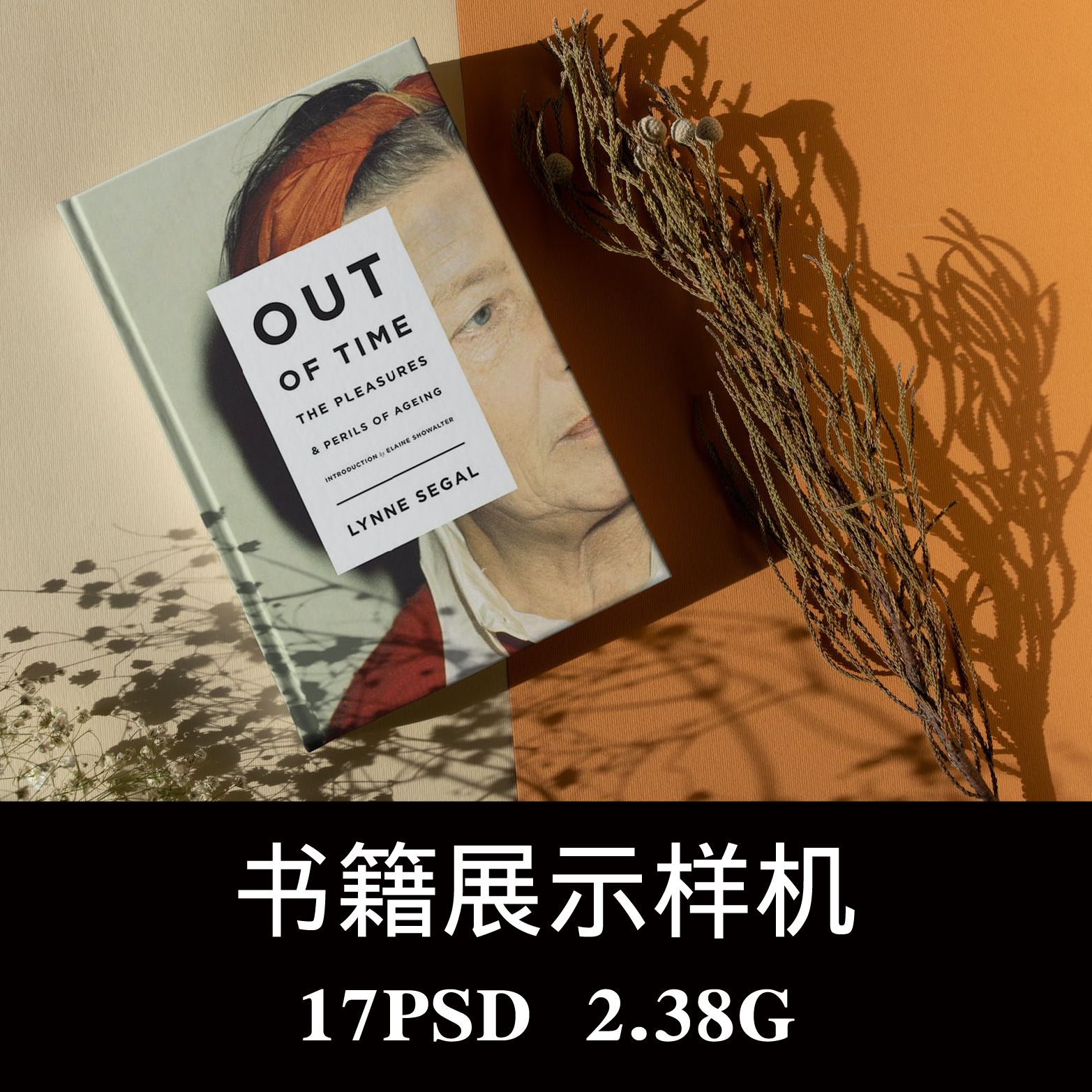 17款文艺轻奢光影精装书籍画册封面设计场景样机PS贴图模板素材