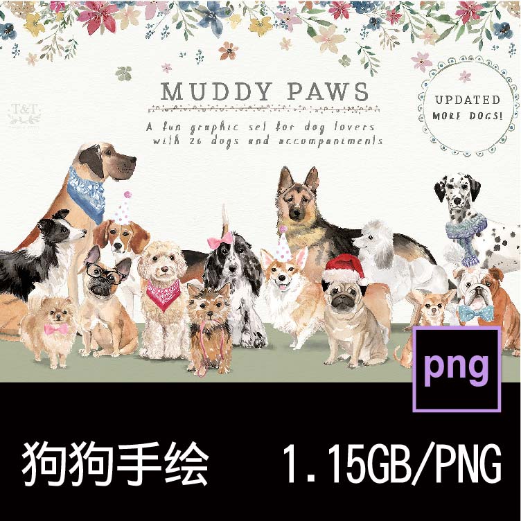 水彩手绘宠物狗狗花卉植物科基斗牛吉娃娃小猎犬PNG免抠图片素材