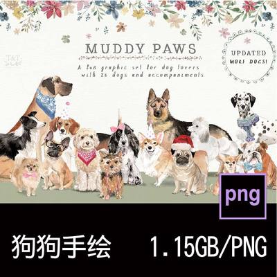 水彩手绘宠物狗狗花卉植物科基斗牛吉娃娃小猎犬PNG免抠图片素材