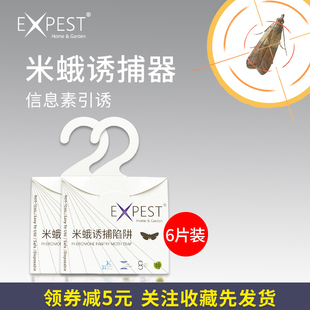 EXPEST飞蛾诱捕器陷阱灭蛾子家用抓捕小飞虫米蛾诱捕器