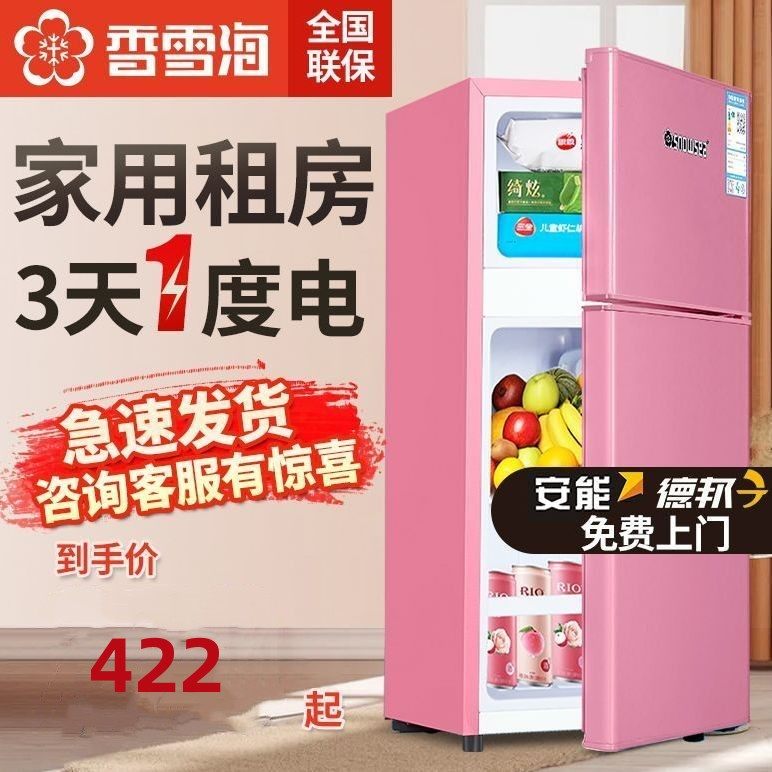 香雪海节能小冰箱家用小型二人宿舍单人租房迷你双门大容量电冰箱