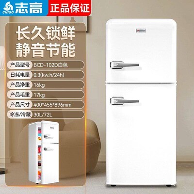 志高复古冰箱家用小型网红高颜值家用双门冰箱节能冷藏冷冻小冰箱