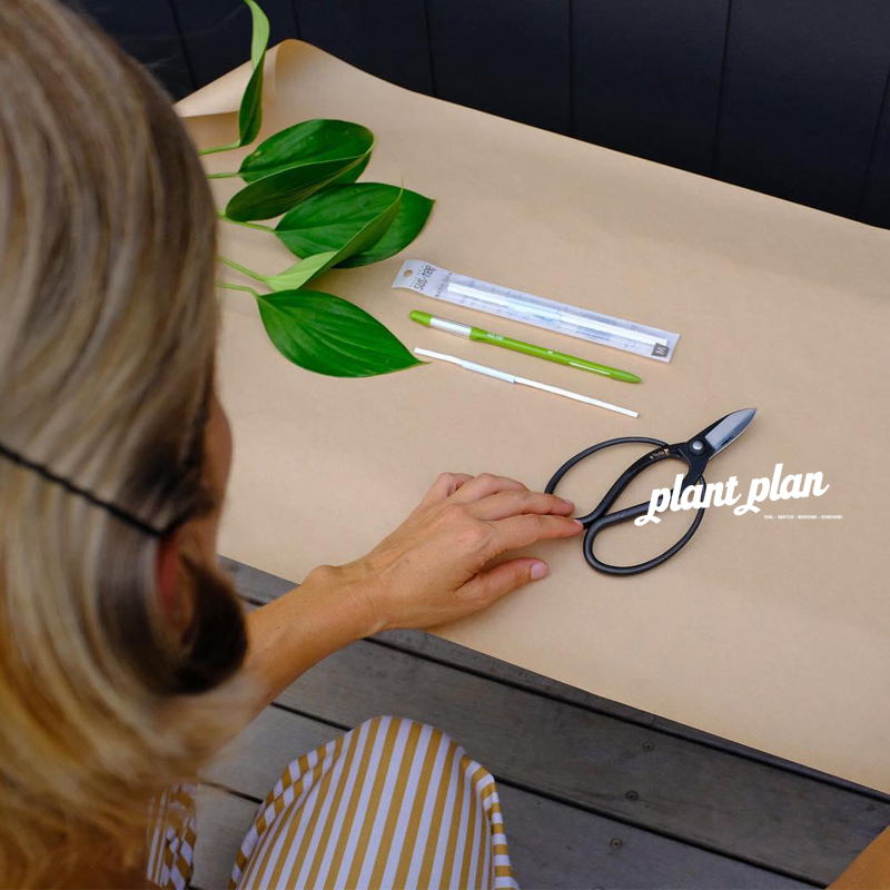 Garden | Sustee水分计 土壤湿度检测计 浇水检查神器