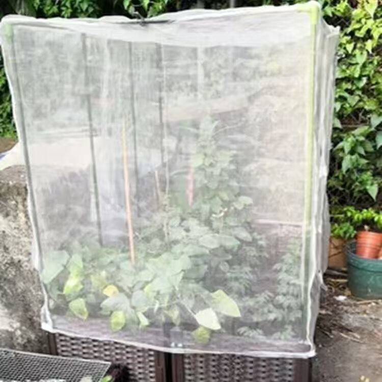 防虫网罩加厚樱桃杨梅蓝莓莲雾果树防鸟罩防蚊蝇网袋透光透气