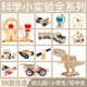 儿童科技制作发明材料小学生幼儿园科学实验套装 手工diy模型玩具