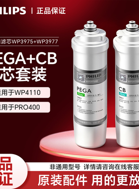 飞利浦厨下净水器复合型过滤芯WP3975活性炭滤网整体式抛弃型滤水